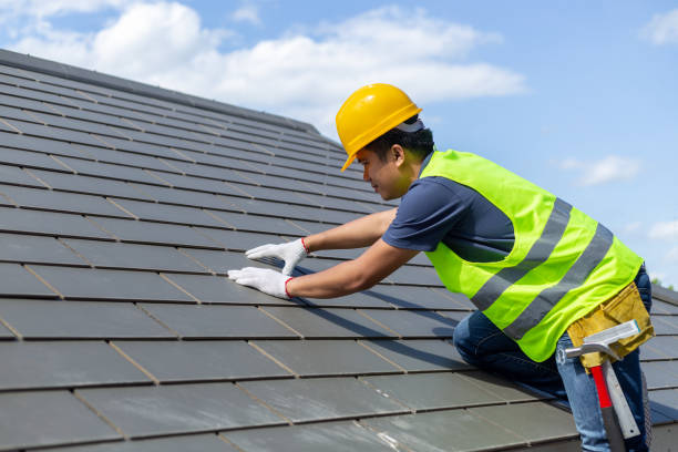 Best Commercial Roofing Services  in Trenton, MI