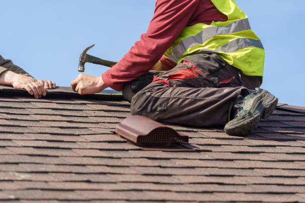Best Metal Roofing Contractor  in Trenton, MI