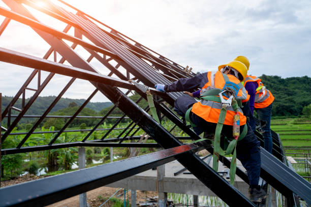 Best Best Roofing Contractors  in Trenton, MI