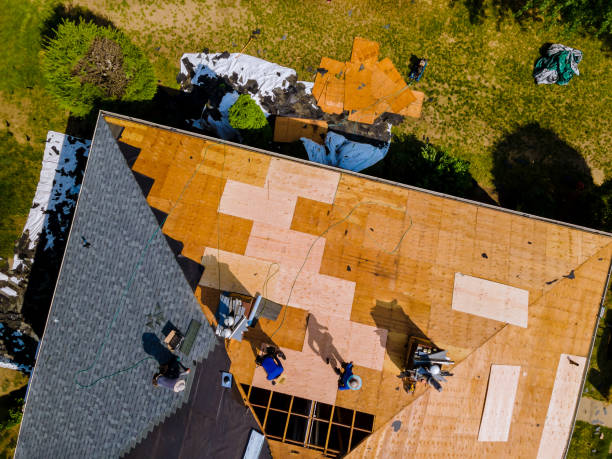 Tile Roofing Contractor in Trenton, MI