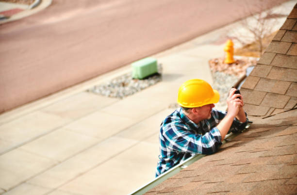 Best Metal Roofing Contractor  in Trenton, MI