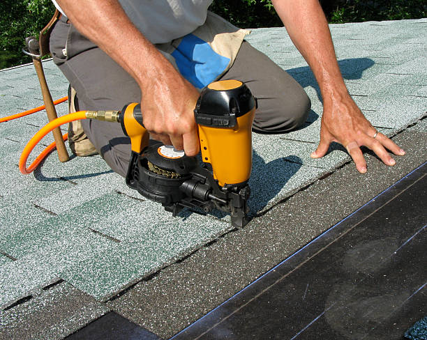 Roof Waterproofing Services in Trenton, MI