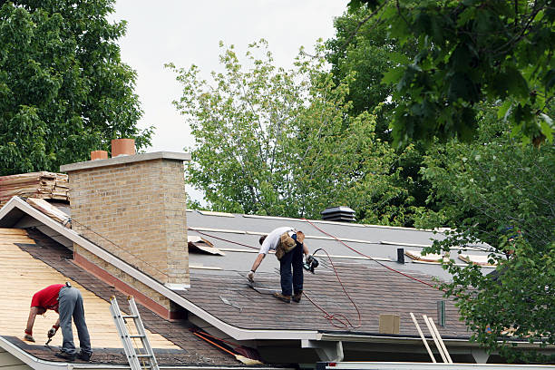 Best Residential Roofing Contractor  in Trenton, MI