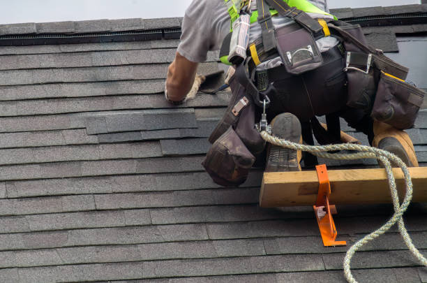 Best Emergency Roof Repair  in Trenton, MI