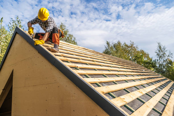 Best Local Roofing Companies  in Trenton, MI
