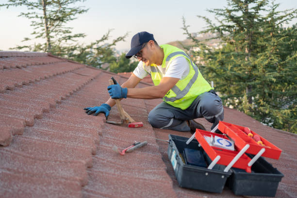 Best Sealant for Roof  in Trenton, MI