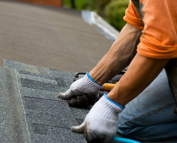 Best Best Roofing Contractors  in Trenton, MI