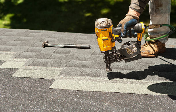 Best Flat Roof Repair Services  in Trenton, MI