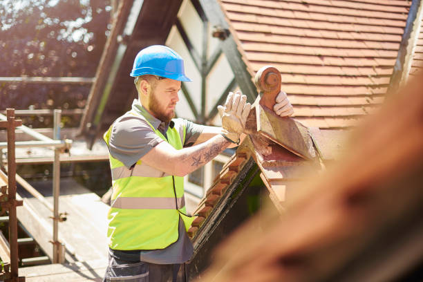 Best New Roof Installation  in Trenton, MI