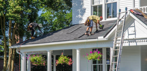 Best Commercial Roofing Services  in Trenton, MI