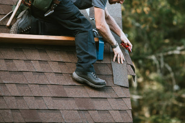 Best Roof Repair Services  in Trenton, MI