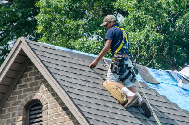 Best Roof Restoration Services  in Trenton, MI