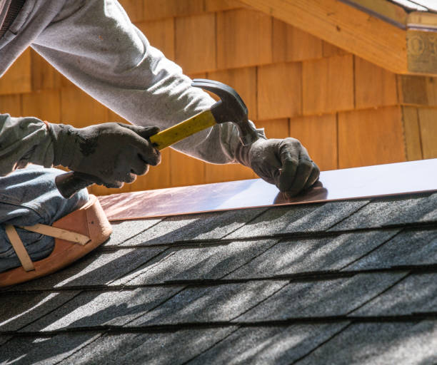 Best Roof Inspection Near Me  in Trenton, MI